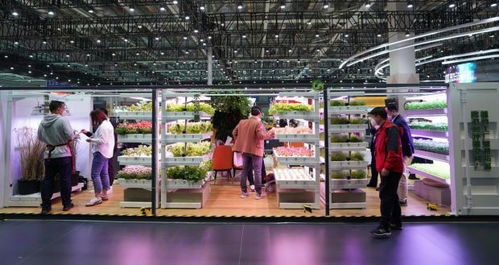 進博會上的“集裝箱農場” 科技重塑農產品生產新未來